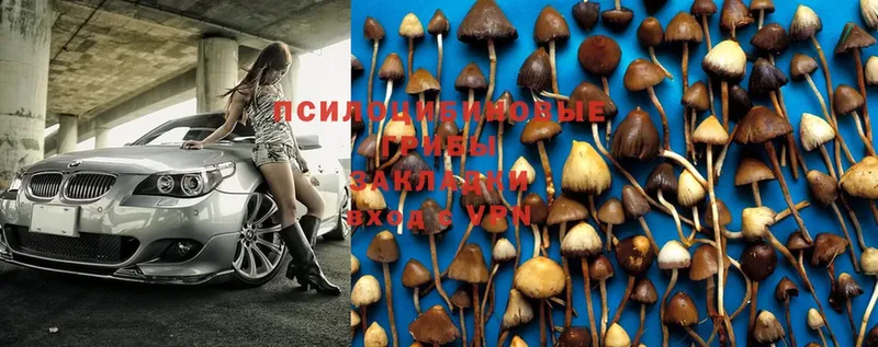 Галлюциногенные грибы MAGIC MUSHROOMS  OMG ССЫЛКА  Новосибирск 